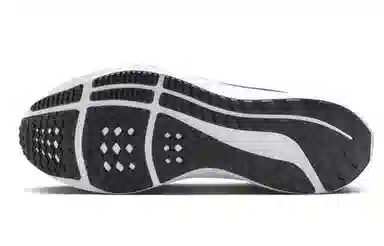 Nike Air Zoom Pegasus 40