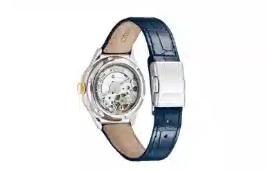CITIZEN 100 PC1009-27M