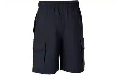 Under Armour UA Pennant Logo