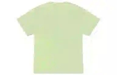 Dickies LogoT