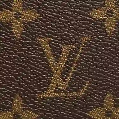 Louis Vuitton Canvas Card Holder Brown