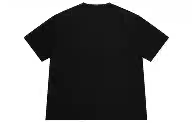 Dickies SS22 T