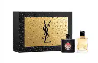 YSL 2022