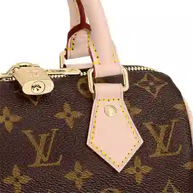 Louis Vuitton Speedy 20