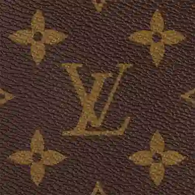 Louis Vuitton Speedy 20