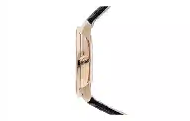 Rado R22895215