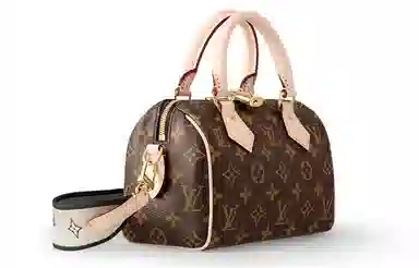 Louis Vuitton Speedy 20