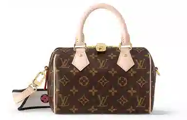 Louis Vuitton Speedy 20