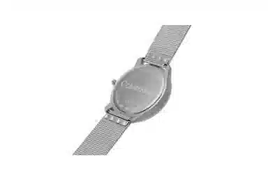 CKCalvin Klein 40 25200027