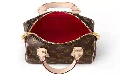 Louis Vuitton Speedy 20
