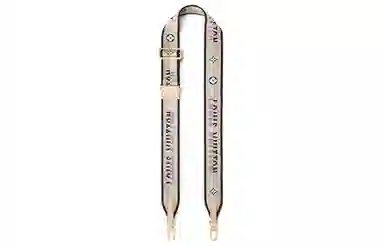 Louis Vuitton Speedy 20