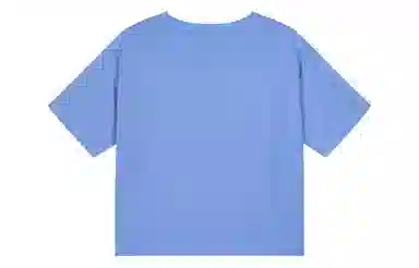 Champion Women's Legacy SS24 T