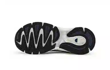 Champion Retro Sports