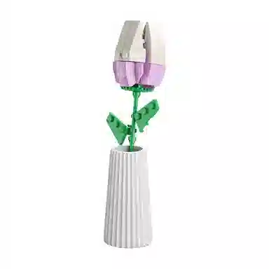 SNAEN diy 123-685