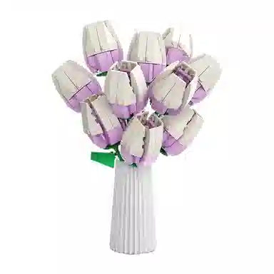 SNAEN diy 123-685
