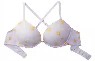 Victoria's Secret PINK 2805 WEAR EVERYWHERE PUSH-UP BRA