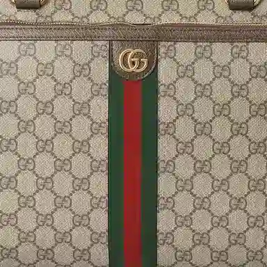 Gucci Pet Carrier Bag