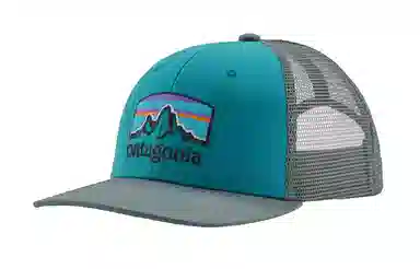 patagonia Logo