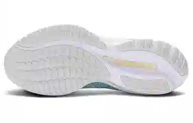 Mizuno Wave Rider 27