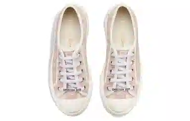 DIOR Walk'n'Dior Oblique