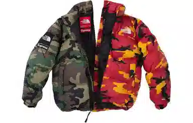 Supreme x The North Face Split Nuptse Jacket
