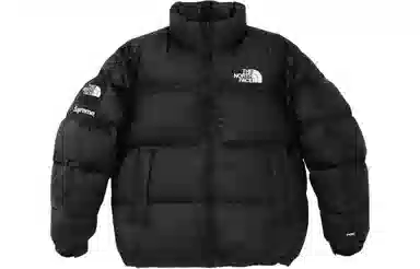 Supreme x The North Face Split Nuptse Jacket