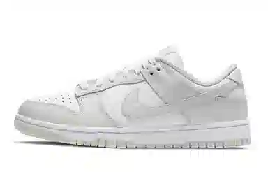 Nike Dunk Low 811