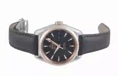 OMEGA AQUA TERRA 39mm 231.23.39.22.06.001