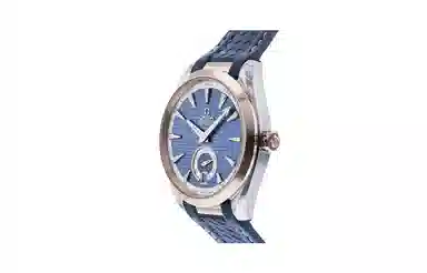 Omega Aqua Terra 220.22.41.21.03.001