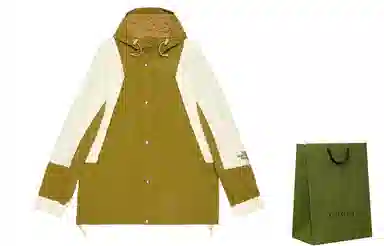 Gucci x The North Face Jacket