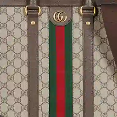 Gucci Ophidia Tote Bag