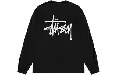 Stussy Basic Ls Tee