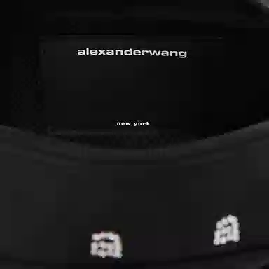 alexander wang