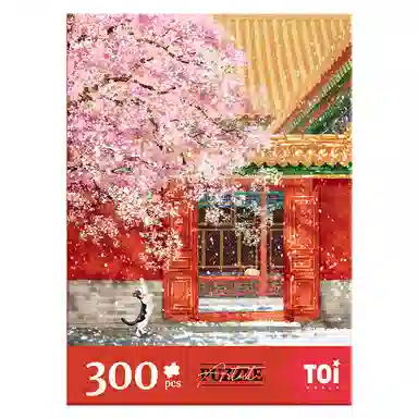 TOI 300pcs