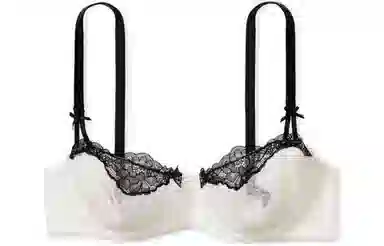 Victoria's Secret DREAM ANGELS