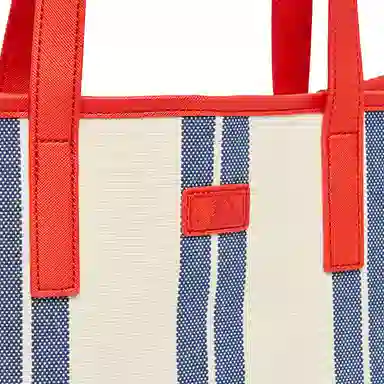 MLB Boston Red Sox Canvas Tote Bag