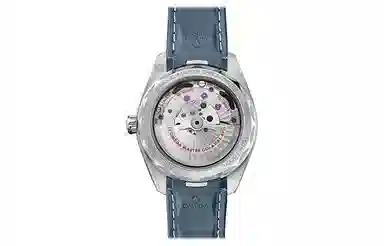 OMEGA Seamaster 220.12.41.21.03.005