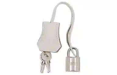 Hermes Birkin 25 Gris Pale