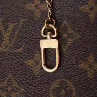 Louis Vuitton Pochette Accessories