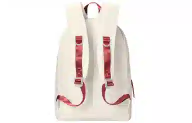 DRACONITE Vintage Campus Backpack