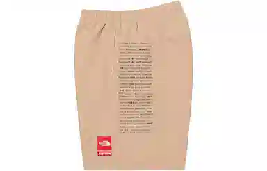 Supreme x The North Face Nylon Short