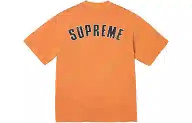 Supreme Cracked Arc S/S Top