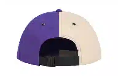 Supreme The North Face Split 6-Panel Cap Beige Purple