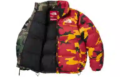 Supreme x The North Face Split Nuptse Jacket