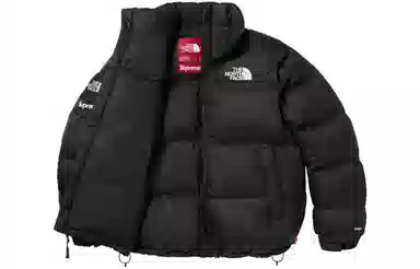 Supreme x The North Face Split Nuptse Jacket