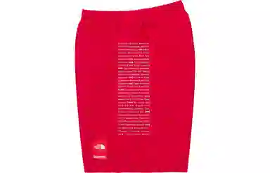 Supreme x The North Face Nylon Short