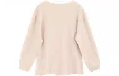 SNZX T