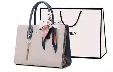 COMELY Handbag