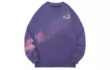 YZ Logo
