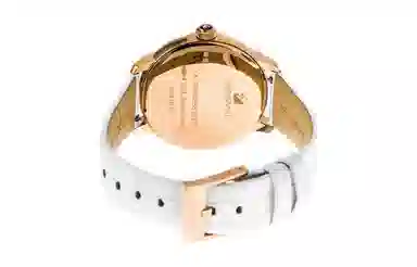 SwarovskiSwarovski 38mm 30 5344635